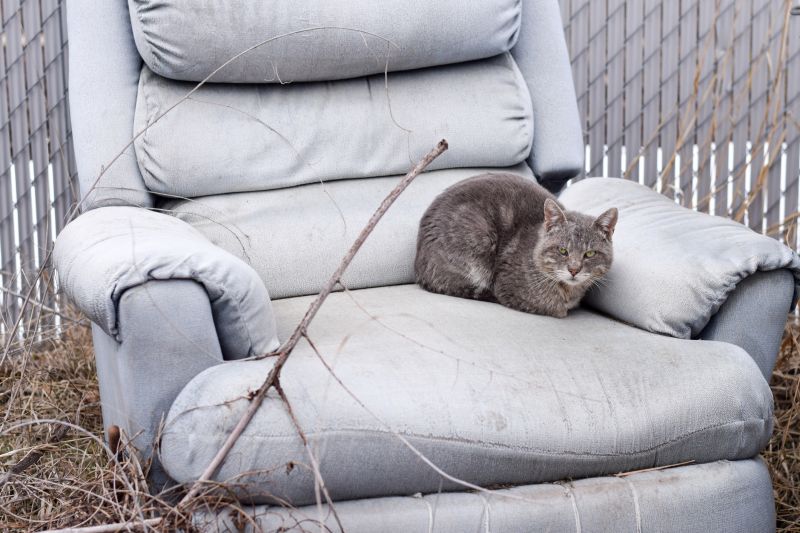 Local Recliner Removal in Capitol Heights, MD