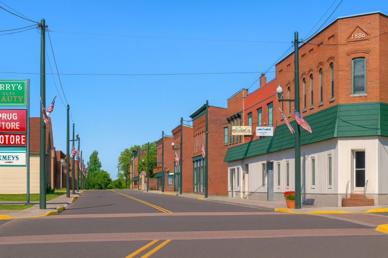 Local Junk Removal Service in Linden, MI